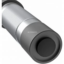 Taschenlampen Ansmann Daily Use 300B, Taschenlampe (silber/schwarz) -Lampen & Leuchten Verkaufsgeschäft Ansmann Daily Use 300B Taschenlampe@@1857384 5