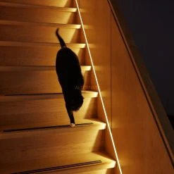 Stimmungsleuchten INNR Flex Light Colour, LED-Streifen (4 Meter, Zum Direkten Anschluss An Das Stromnetz) -Lampen & Leuchten Verkaufsgeschäft INNR Flex Light Colour LED Streifen@@1848162 4