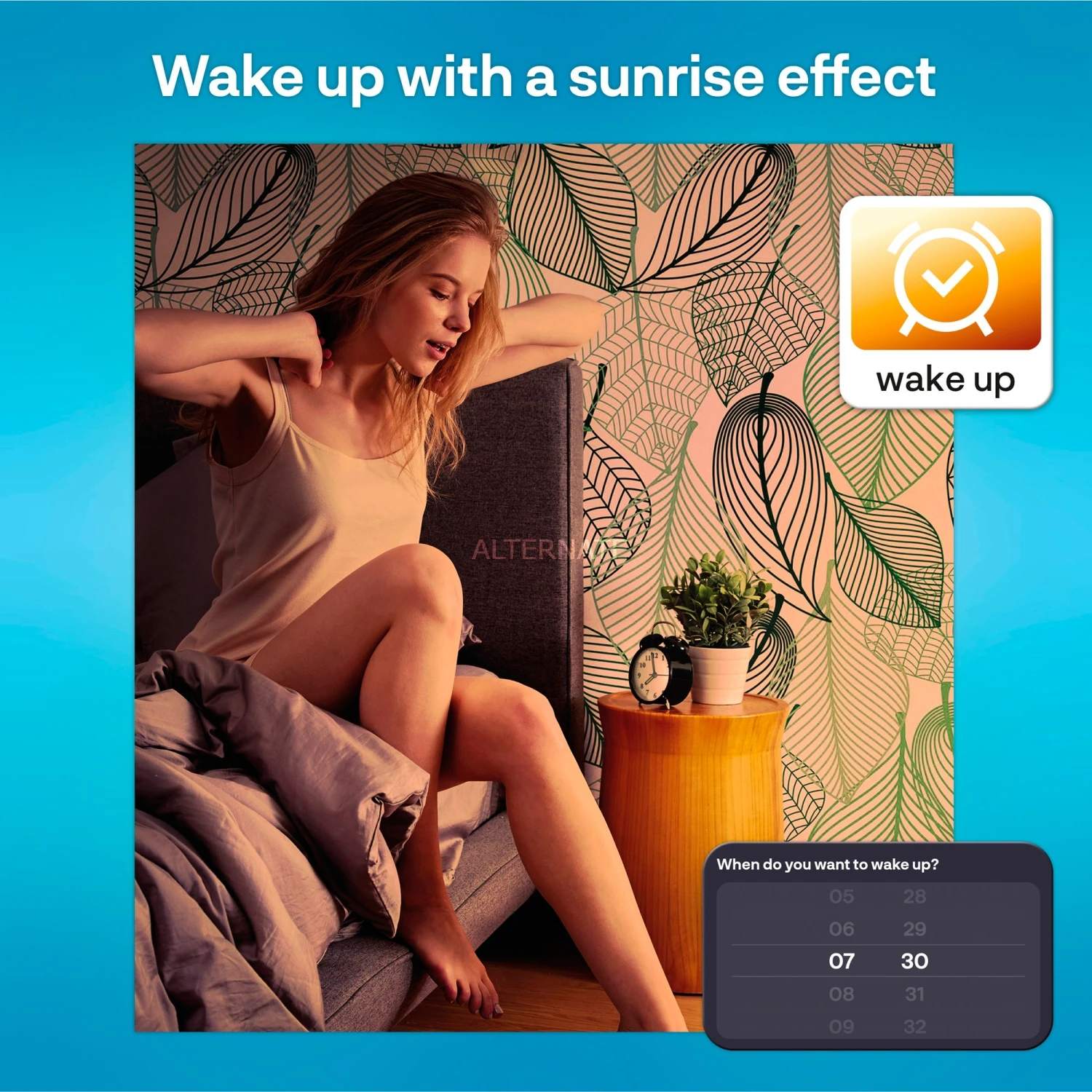 Leuchtmittel INNR WiFi Filament Vintage E27, LED-Lampe (2er-Pack, Ersetzt 30 Watt) – Bild 5