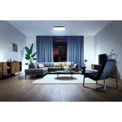 Leuchten Philips Hue White Ambiance Aurelle Panelleuchte, LED-Leuchte (weiß) -Lampen & Leuchten Verkaufsgeschäft Philips Hue White Ambiance Aurelle Panelleuchte LED Leuchte@@1848094 5