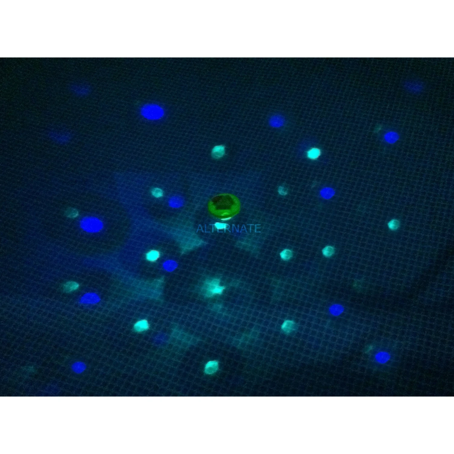 LED-Lampen Steinbach LED-Unterwasser Lichtshow, LED-Lampe (060055) 2 LED-Lampen Steinbach LED-Unterwasser Lichtshow, LED-Lampe (060055) – Bild 2